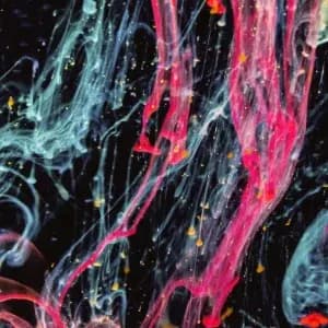 Spiritual alchemy