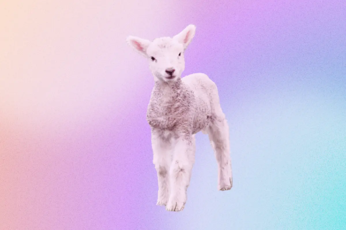 Sacrifice and Atonement