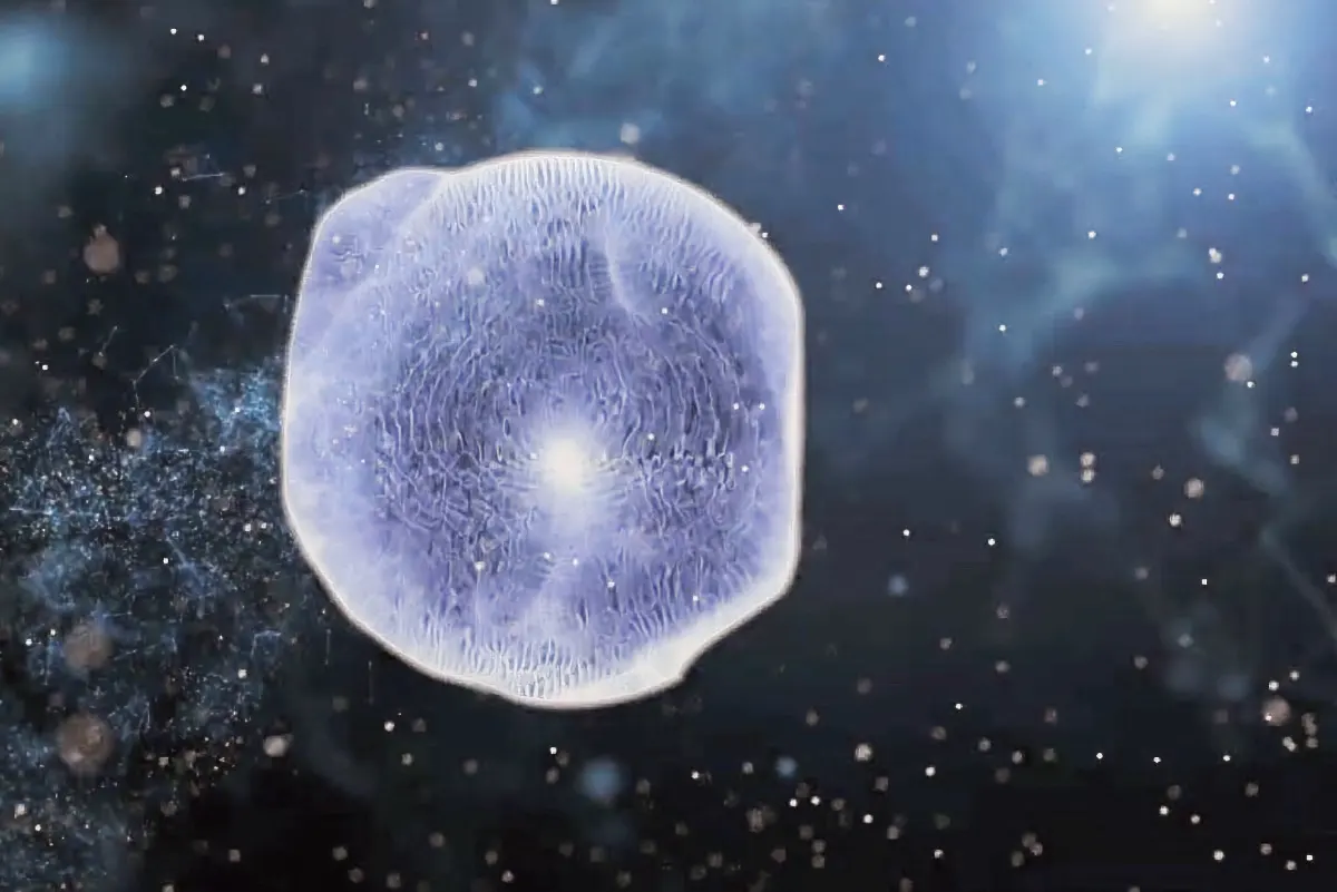 What is our purpose in life? What Science says