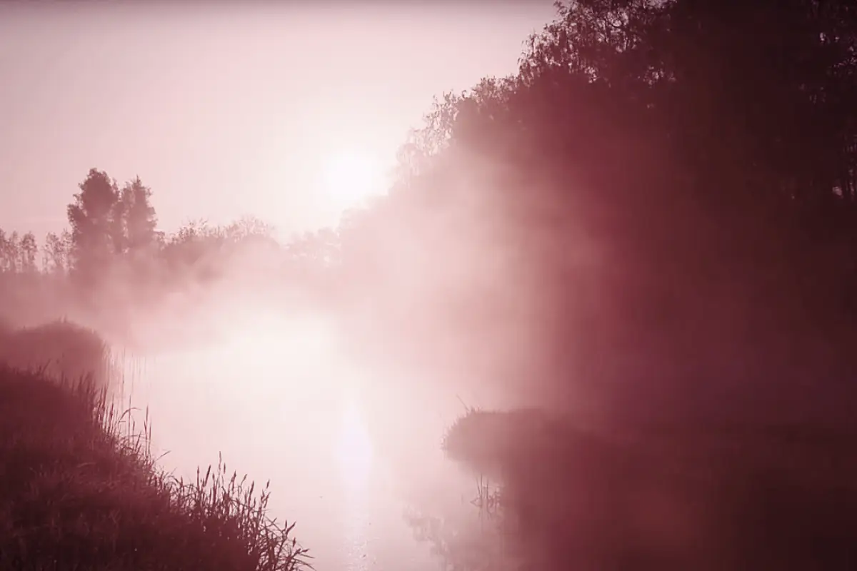 Daoist Wisdom For Inner Peace