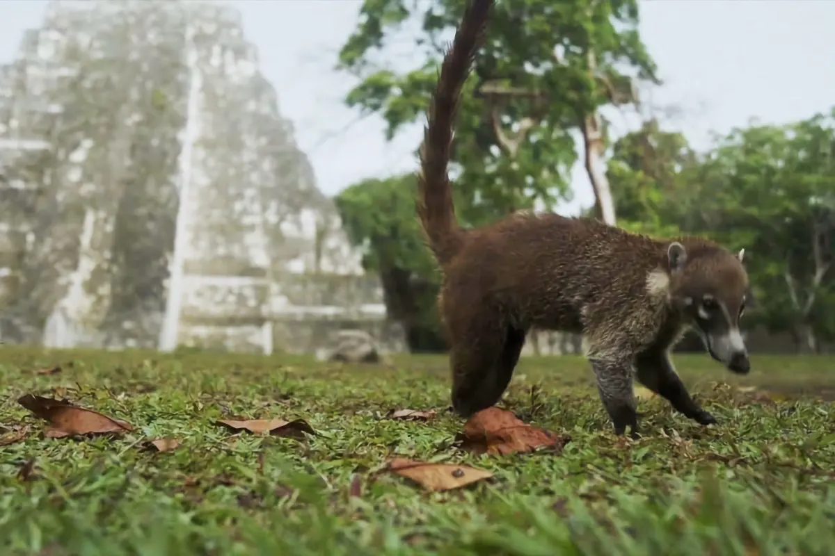 What Mayan tradition says about consciousness and the soul