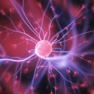 Science Meets Spirit