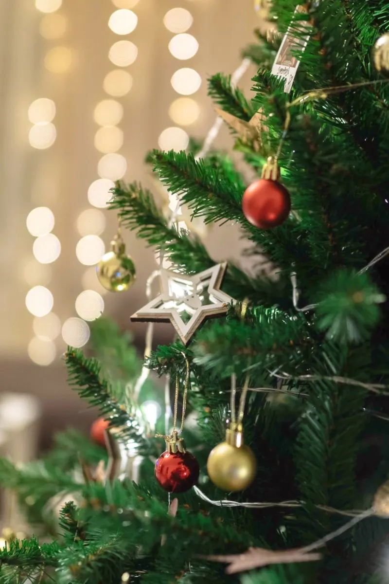 Decorate your home for Christmas