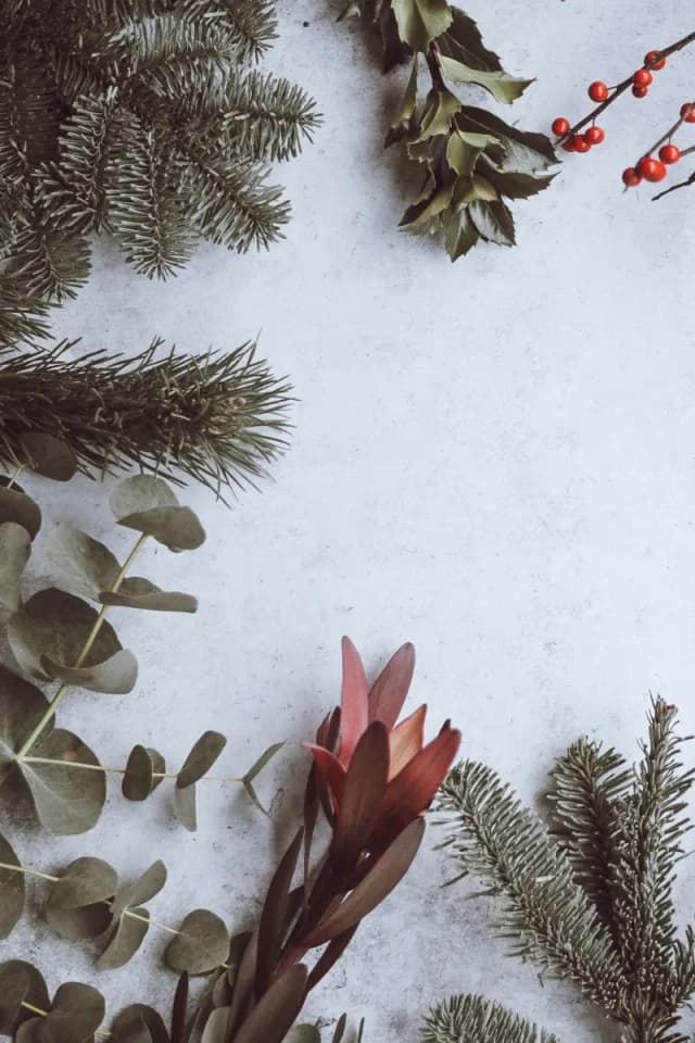 The Christmas "Apolytikion" hymn