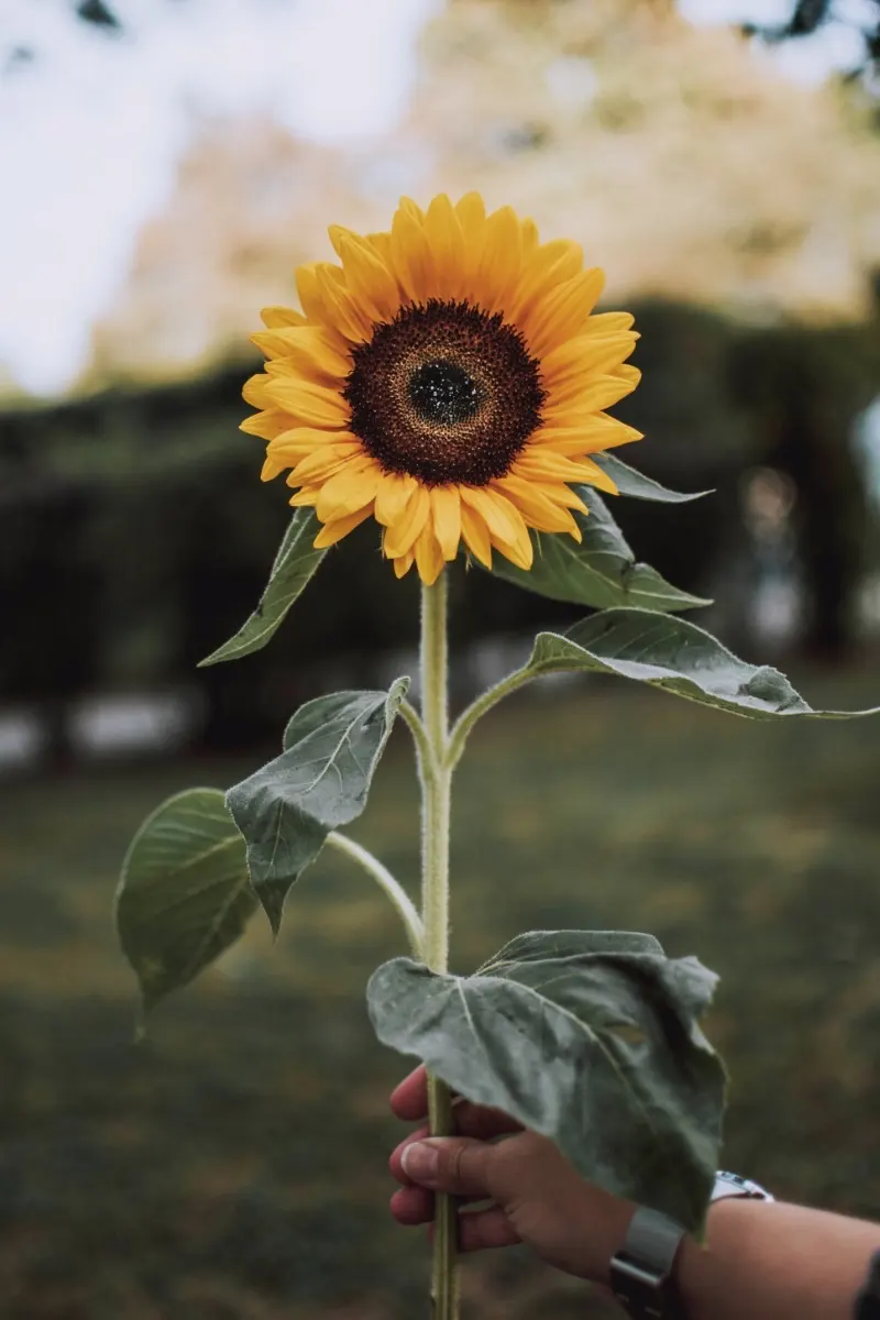 Compliment a stranger