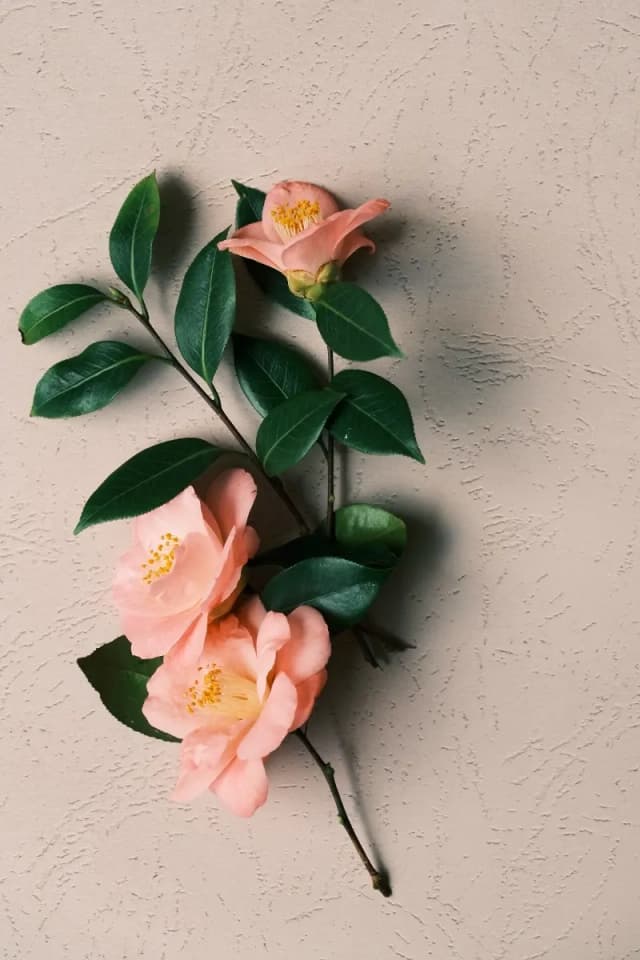 Make a floral arrangement