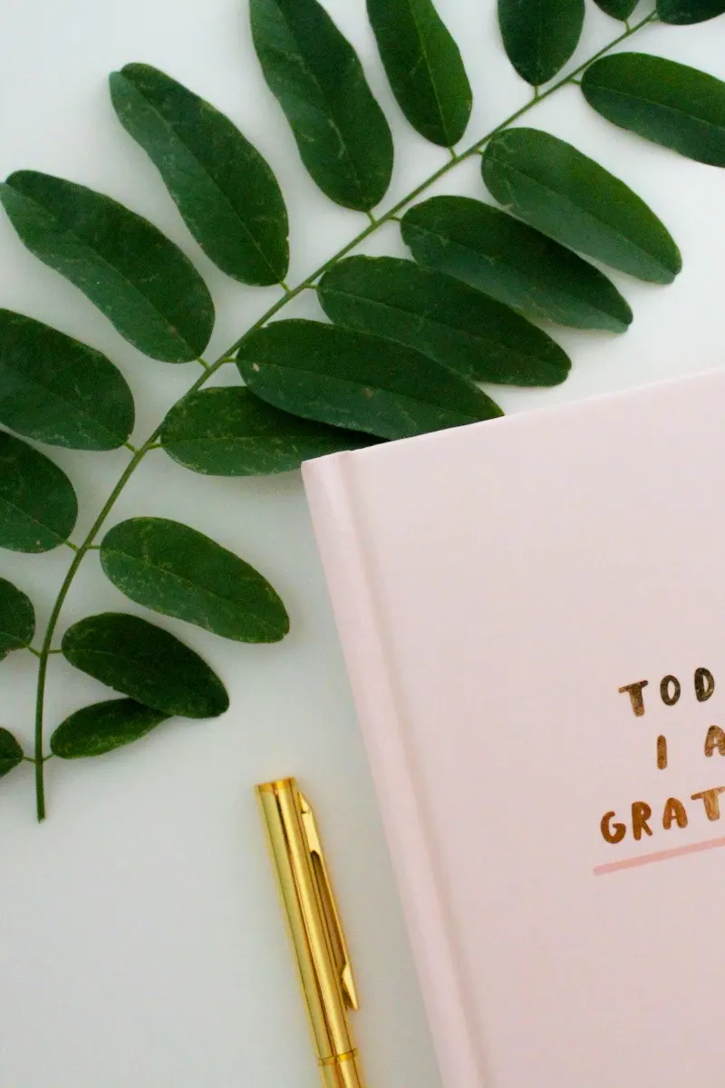 Write in a "gratitude journal"