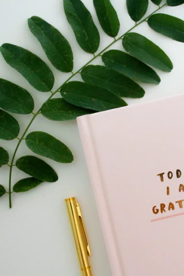 Write in a "gratitude journal"