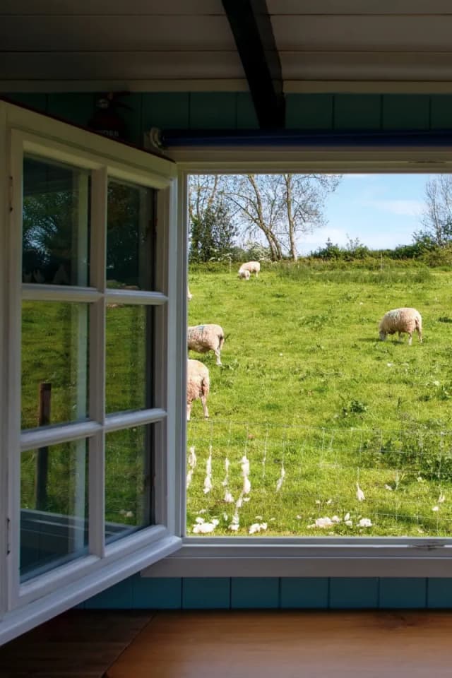 Open the windows in your home