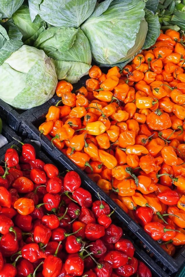 The Ch'ang Ming diet