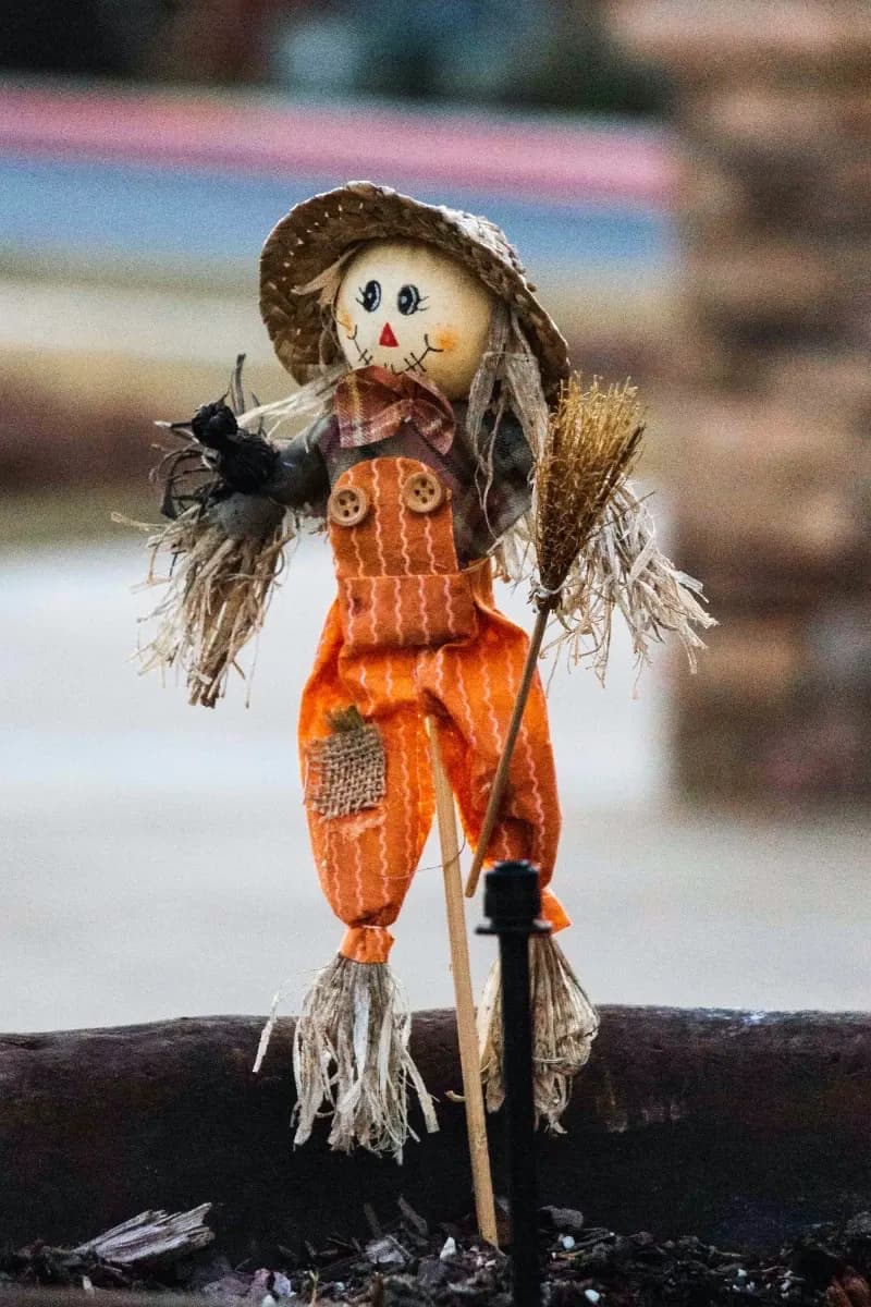 Make a scarecrow