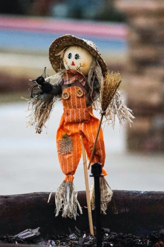 Make a scarecrow
