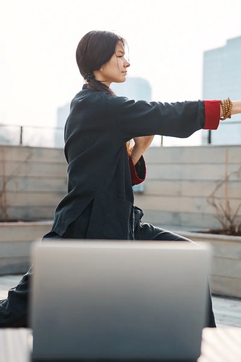 The Tai Chi "Brush Knee Twist"