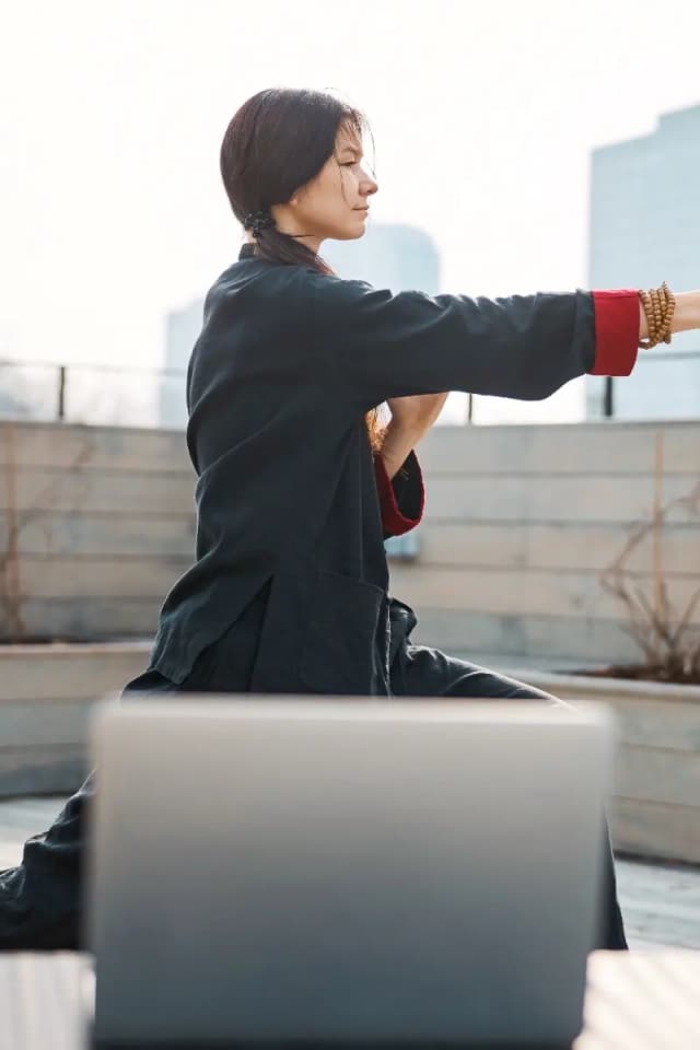 The Tai Chi "Brush Knee Twist"