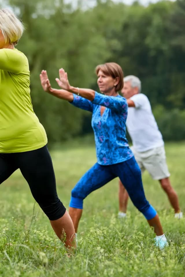 The Tai Chi "Peacock's Tail" move