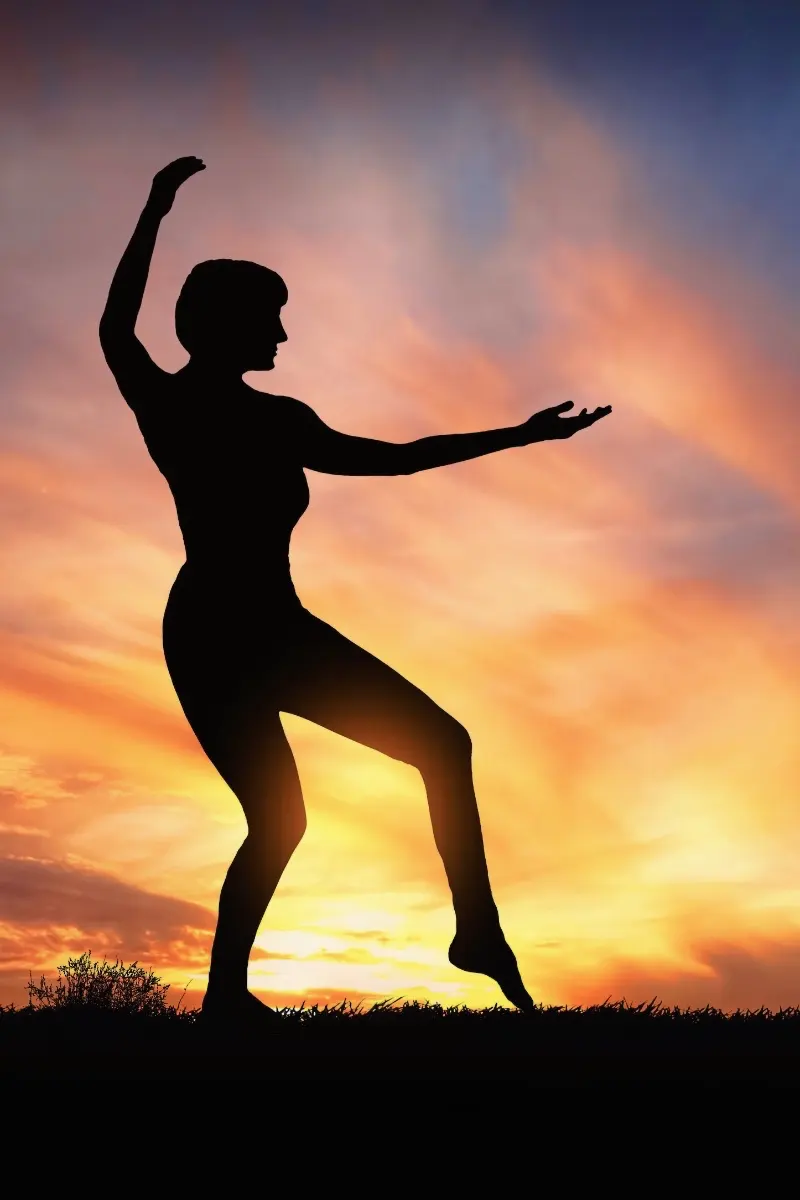 The Tai Chi "White Crane" move