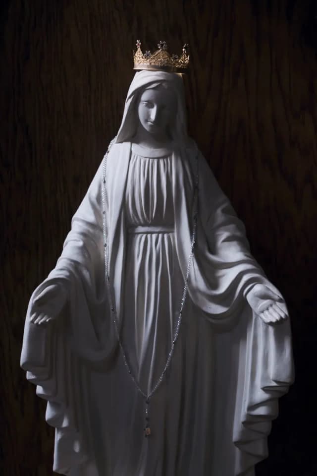 Venerate the Virgin Mary