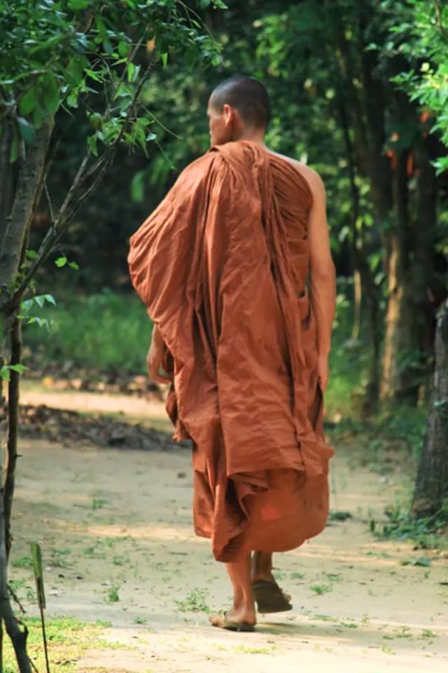 Go for a walk or run