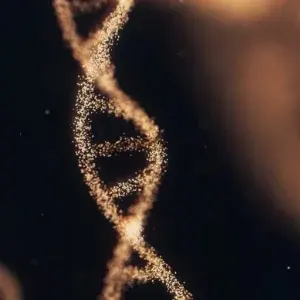 Where your identity comes from