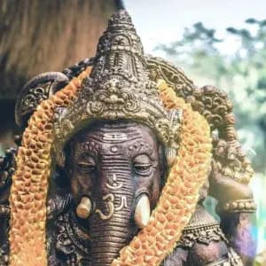 Hindu animal reverence