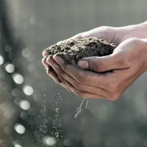 Stewarding Nature the Jewish way