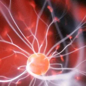 What science says about spiritual questions