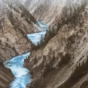 Daoist nature reverence