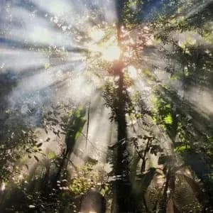 Hellenistic nature reverence