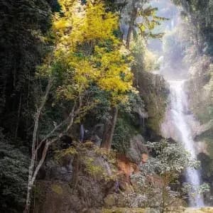 Protecting nature in Islam